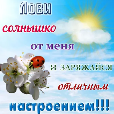 Чудесного вечера, хорошего отдыха, прекрасного настроения. ... |  ПРИВЕТСТВИЯ и ПОЖЕЛАНИЯ, открытки на каждый день. | Фотострана | Пост  №2577432614