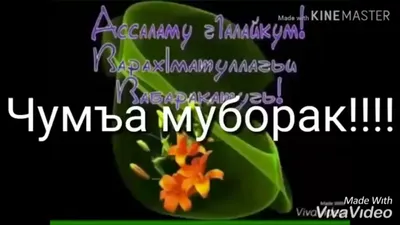 РУЗИ🕋 САИДИ🕋 ЧУМЪА🕋 МУБОРАК🕋 ДУСТОНИ🕋 АЗИЗ - YouTube