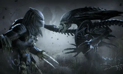 Фигурки Чужой против Хищника 2 в 1 Alien vs Predator (аксессуары,  подвижные, 19 и 21,5 см) - купить с доставкой по выгодным ценам в  интернет-магазине OZON (233381467)