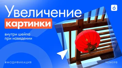 Увеличение картинки при наведении в Тильде | Готовая библиотека модификаций  и эффектов для Тильды от Нолим