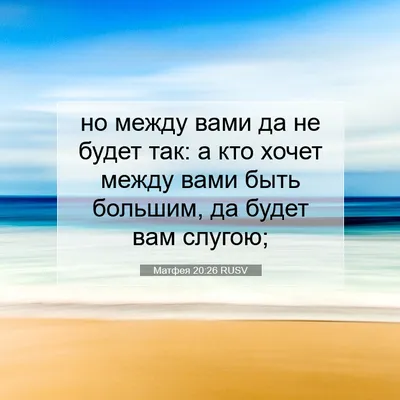 Иллюстрация 21 из 23 для Да будет так! - Сара Уикс | Лабиринт - книги.  Источник: Vera Grey