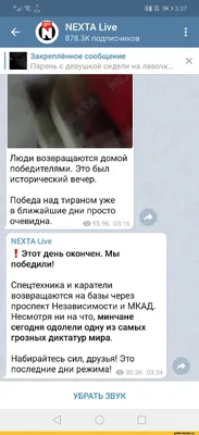 Купить картина по номерам Красиво Красим Ну да ну да пошел я, 70 х 80 см,  цены на Мегамаркет | Артикул: 600004527525