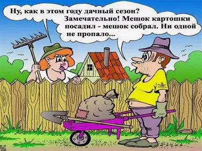 Дача и огород... Хорошо лежим!))) | Пикабу