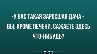 Анекдоты про дачу. Обсуждение на LiveInternet - Российский Сервис  Онлайн-Дневников