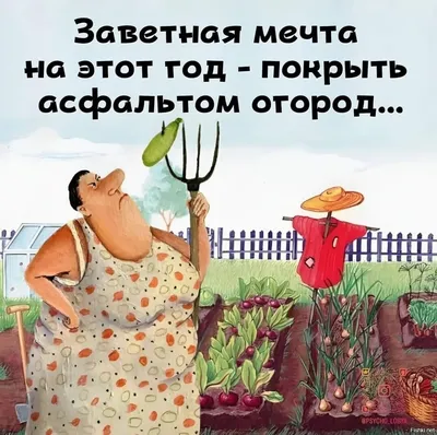 Родители: На выходных помоги деду на даче, он уже пожилой, слабенький Тем  временем дед на даче: / якорь :: Дед :: дача :: картинка с текстом /  смешные картинки и другие приколы: