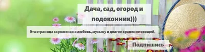 Дом сад огород» — создано в Шедевруме