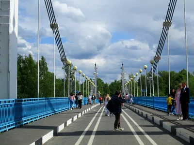 Парк на Даманском острове ежедневно обследуется комиссией | 17.06.2021 |  Ярославль - БезФормата