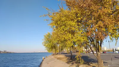 В Воронеже из водохранилища у дамбы Чернавского моста достали утопленника |  ПРОИСШЕСТВИЯ: События | ПРОИСШЕСТВИЯ | АиФ Воронеж