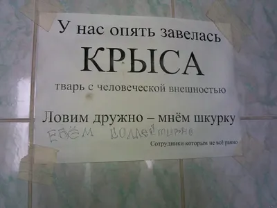 Рисунки «дебильных питомцев» собрали 50 000 фунтов для благотворительности