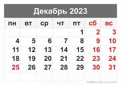 Журнал «Фома» № 12 (248) декабрь 2023 г. - в Книжной Лавке журнала \"Фома\"|  Книжная Лавка журнала \"Фома\"