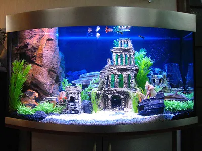 Декор аквариума фото фото