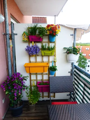 декор балкона :: Olga – Социальная сеть ФотоКто