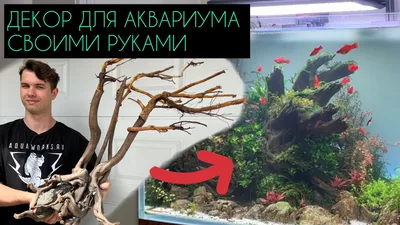 ДЕКОР ДЛЯ АКВАРИУМА СВОИМИ РУКАМИ | «AquaWorks» | Дзен