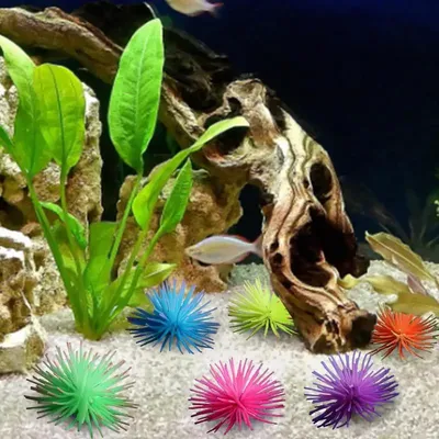 3D-фон для аквариума своими руками | Aquarium, Aquarium backgrounds,  Aquarium landscape