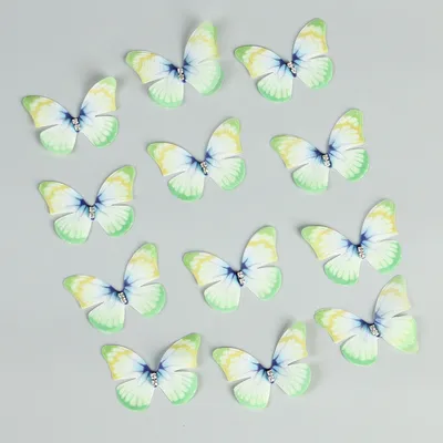 Купить бабочек на стену из пластика для декора интерьера
