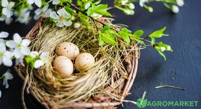 Декор пасхальных яиц своими руками — BurdaStyle.ru
