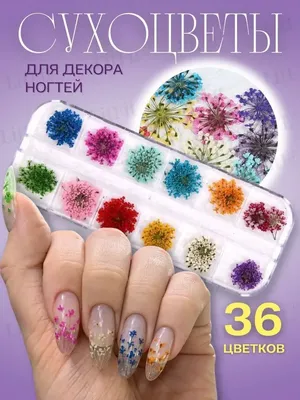 Разноцветный френч + цветочный дизайн — идеальное сочетание для красивых  ногтей на осень 2023 | theGirl