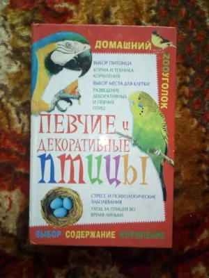 Зеркальное панно TsarevnaSun Ласточки 2 - купить по выгодным ценам в  интернет-магазине OZON (927515817)