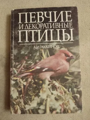 Декоративные птицы и животные на ярмарке в Аксае. Часть 3. | ГОЛУБИ СЕРГЕЯ  И МАКСИМА МАНЕРКО | Дзен