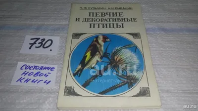 дикие и декоративные птицы. Стоковое Фото - изображение насчитывающей  цветасто, зеленый: 231269598