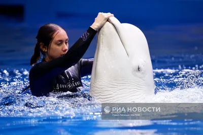 Океанариум Екатеринбурга в Екатеринбурге