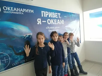 В Екатеринбурге открывается первый на Урале океанариум - Шалинский вестник