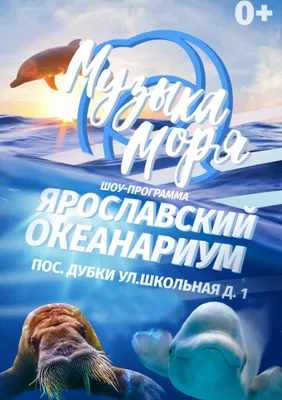 ЗАГОРОДНЫЙ КОМПЛЕКС DOLPHIN PLANET ЯРОСЛАВЛЬ 4* (Россия) - от 3894 RUB |  NOCHI