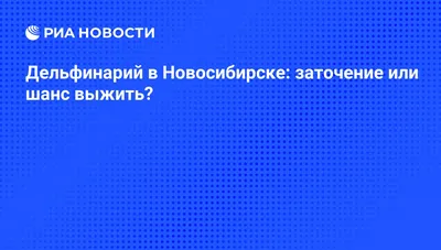 До конца года в Новосибирске построят дельфинарий - KP.RU