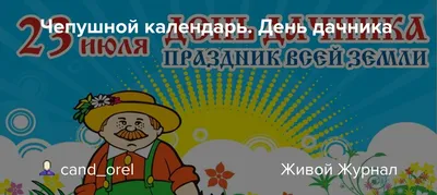 Дачный сезон . Смешные картинки