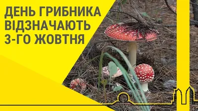 Сегодня 3 октября: какой праздник и день в истории