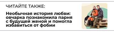 Международный день оптимиста 2025: какого числа, история и традиции  праздника