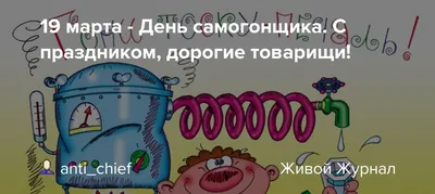 Пин от пользователя Александр на доске Праздники | Смешные плакаты, Смешные  открытки, Счастливые картинки