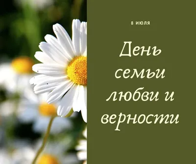 8 июня в Муроме состоится концерт в честь праздника \"День семьи, любви и  верности\" • Свежая Газета