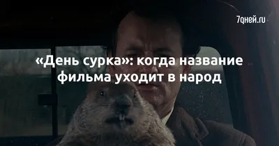 День сурка (Groundhog Day), Харольд Рэмис