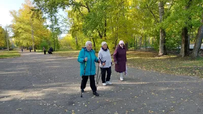 Заповедник в городе – Барнаульский дендрарий - Сибирские богатства