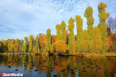 Дендропарк, Екатеринбург