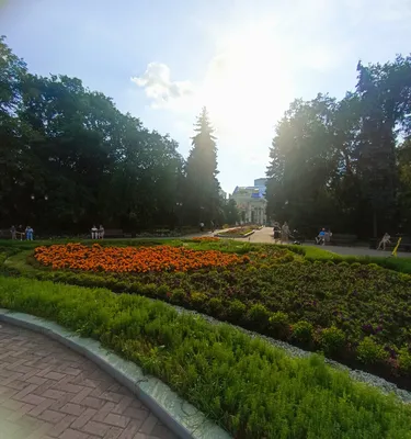 В Екатеринбурге показали план по благоустройству дендрария на Первомайской  (ФОТО) / 14 октября 2020 | Екатеринбург, Новости дня 14.10.20 | © РИА Новый  День