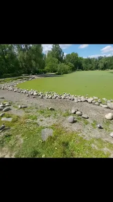 Дендропарк Екатеринбурга (Екатеринбург, Россия) - авторский обзор, часы  работы, цены, фото | Коллекция Кидпассаж