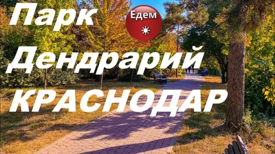 Краснодар Вики - Краснодар, дендрарий