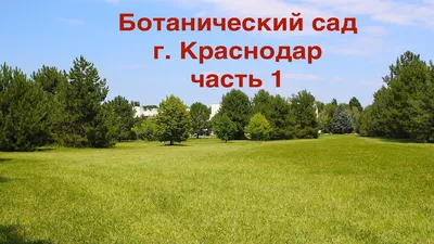 Из-за непогоды остановлена работа канатной дороги в сочинском Дендрарии |  ОБЩЕСТВО | АиФ Краснодар