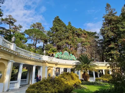 View Greek Pergola Dendrarium Sochi Krasnodar Stock Photo 1166169358 |  Shutterstock