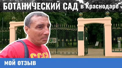 Осень в краснодарском дендрарии | Пикабу