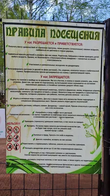 Продам дом на улице Кленовой 10 в Центральном районе в городе Тольятти  560.0 м² на участке 12.0 сот этажей 3 30000000 руб база Олан ру объявление  103010150