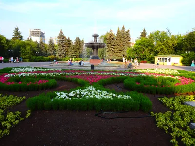 Дендрологический парк на Первомайской (Екатеринбург). Фото, адрес  дендропарка, как добраться – Туристер.Ру