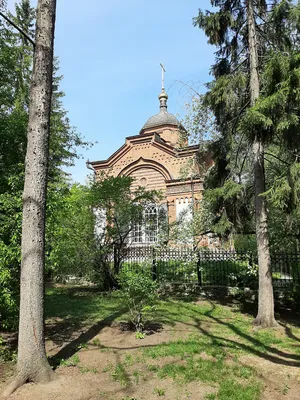 Дендропарк , Екатеринбург - «Красивый уютный уголок прямо в центре города  :-)» | отзывы