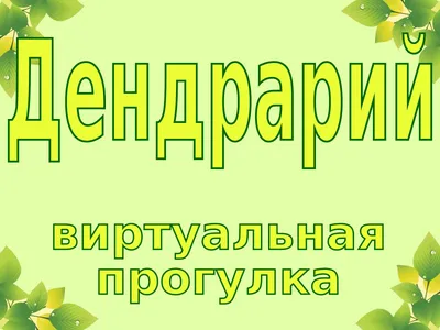 В Екатеринбурге на месяц закроют дендропарк на Первомайской - KP.RU