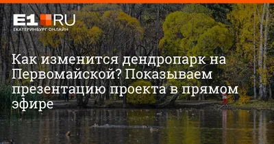 Лесопарк им. Лесоводов России, Екатеринбург: лучшие советы перед посещением  - Tripadvisor