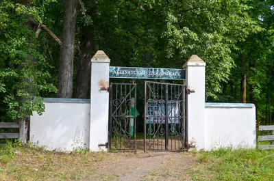 Фото: Ульяновский дендропарк, парк культуры и отдыха, Ульяновск,  Ульяновский дендропарк — Яндекс Карты