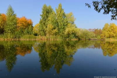 Фото: Акшуатский дендропарк, заповедник, Ульяновская область, Барышский  район, Акшуатский дендропарк — Яндекс Карты