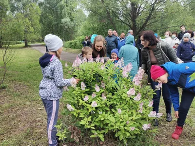 В Тольятти рассказали, как благоустроят дендропарк | 13.06.2023 | Тольятти  - БезФормата